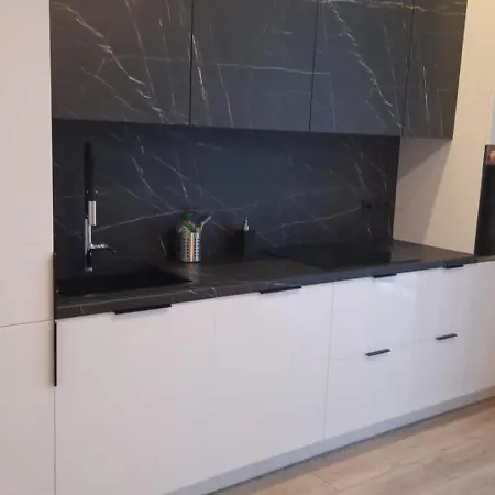 דירה Modernes 2-zimmer-appartement וילנה